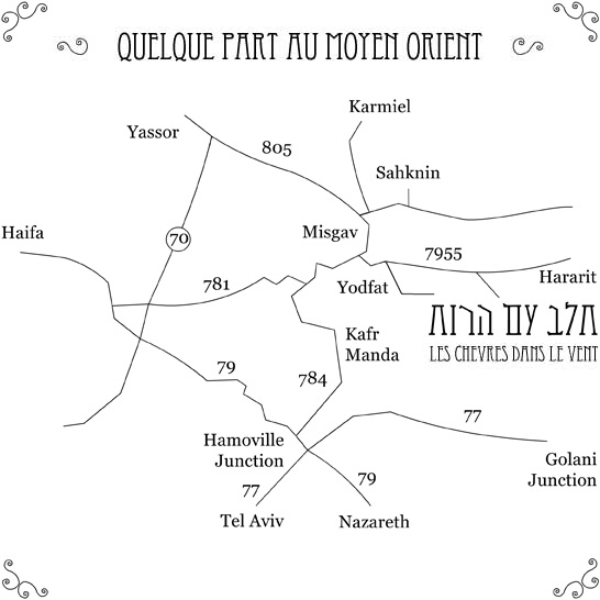 Les Chèvres dans le Vent | Galilée, Israël | Plan d'Accés | Restaurant | Fromages de Chèvre Bio. Photo par Tal Gluck.